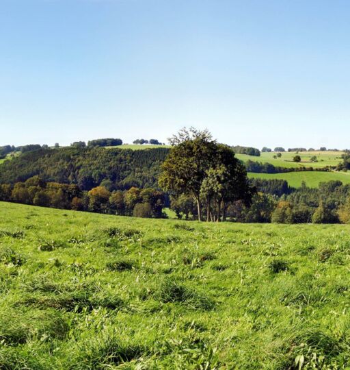 VIR 06 09 14 Vue panoramique vallé de Pont