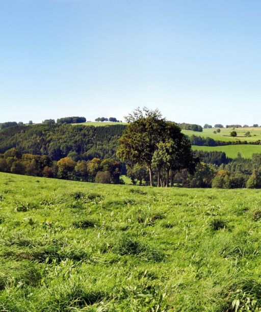 VIR 06 09 14 Vue panoramique vallé de Pont